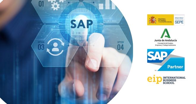 consultor financiero SAP